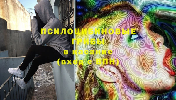 МДПВ Алексеевка