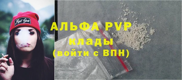стафф Алзамай