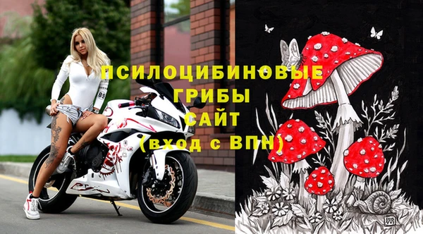 МДПВ Алексеевка