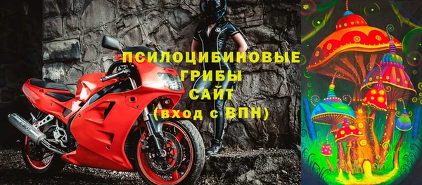 МДПВ Алексеевка