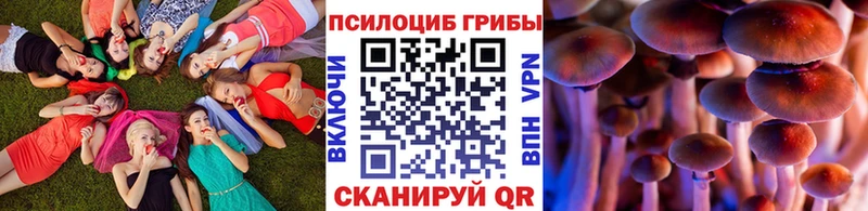 Галлюциногенные грибы Magic Shrooms  Дмитров 